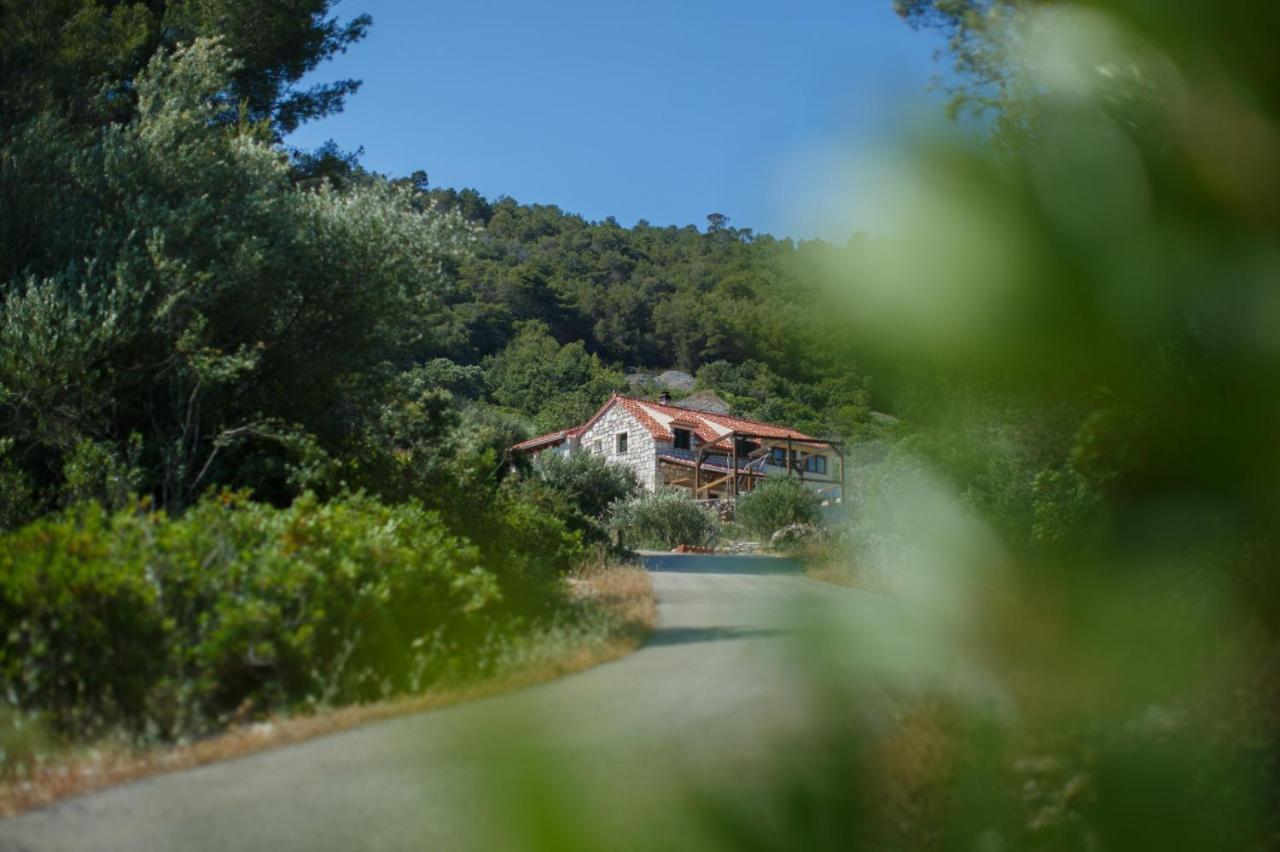 Olive Hill Familly House *